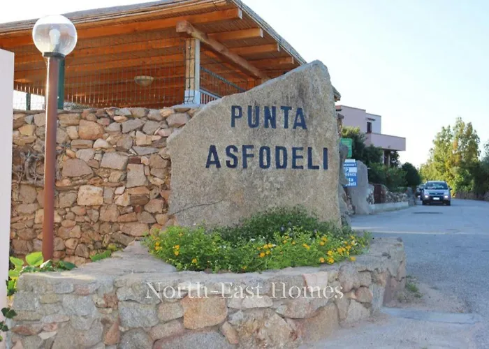 Asfodeli House - 20m To The Beach Porto Rotondo